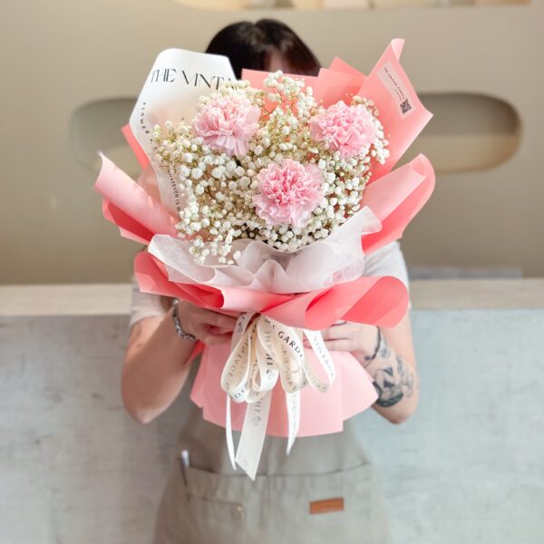 柔语花颂 Carnation Whisper